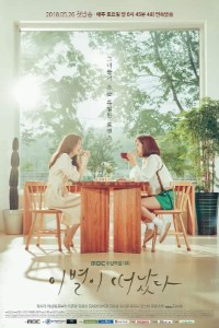 Download Goodbye to Goodbye (Season 1) {Hindi-Korean} 720p [370MB] || 1080p [650MB]